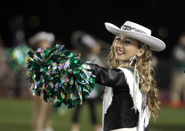 Shoemaker vs Ellison 077.JPG